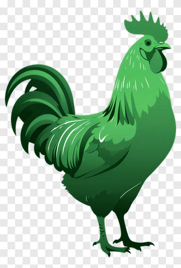 Green Rooster Illustration PNG