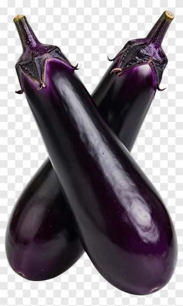 Two Eggplants PNG