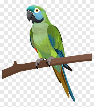 Green And Blue Macaw On Branch PNG