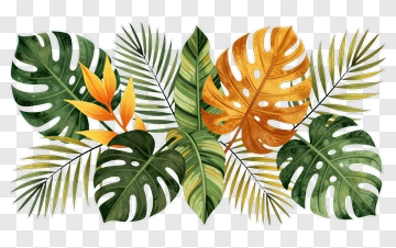 Tropical Leaves And Bird Of Paradise PNG