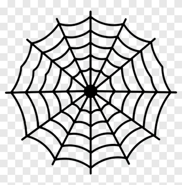 Spider Web PNG
