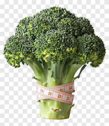 Broccoli With Measuring Tape PNG