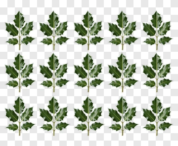 Holly Leaf Pattern PNG
