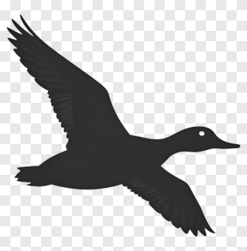 Flying Duck Silhouette PNG