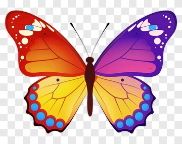 Colorful Butterfly Illustration PNG