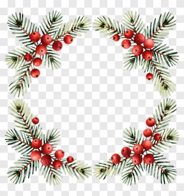 Watercolor Pine Branches With Berries PNG