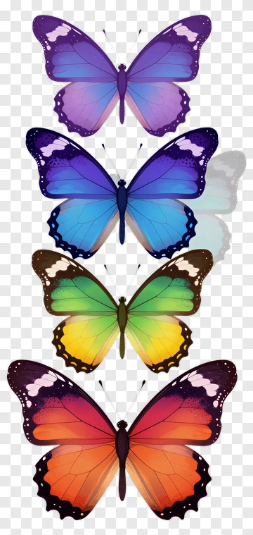 Four Colorful Butterflies In Vertical Arrangement PNG
