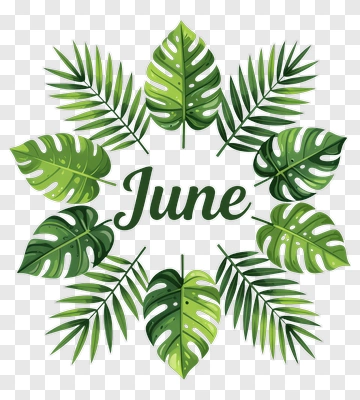 June Tropical Leaves Design PNG