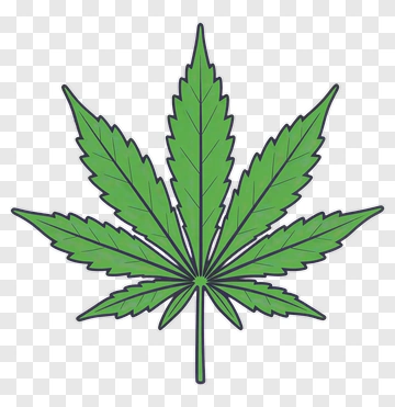 Cannabis Leaf PNG