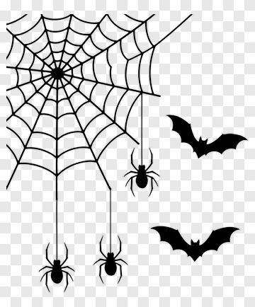 Spiders And Bats On Spider Web PNG