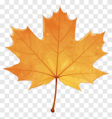 Autumn Maple Leaf PNG