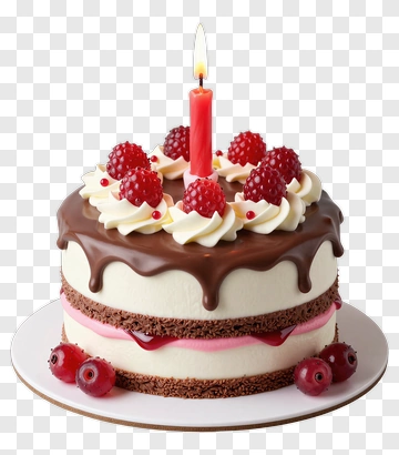 Birthday Cake With Candle And Berries PNG