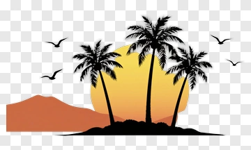 Palm Trees On Island At Sunset PNG