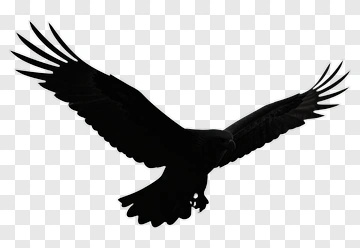 Silhouette Of A Bird In Flight PNG