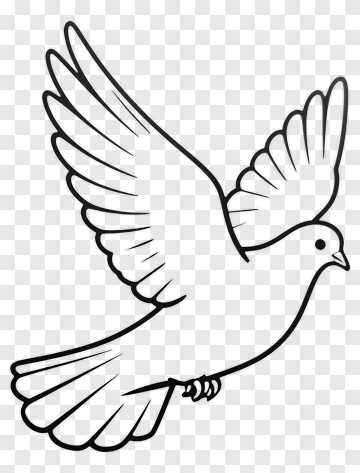Flying Dove PNG
