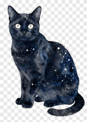 Cat With Space Pattern PNG