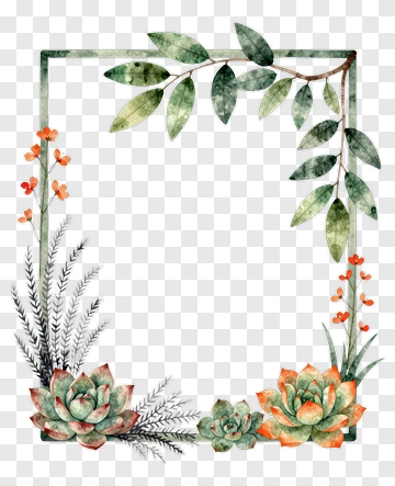 Watercolor Succulent Frame With Leaves And Flowers PNG
