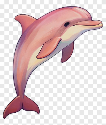 Pink Dolphin Illustration PNG