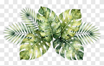 Tropical Leaves Watercolor Design PNG