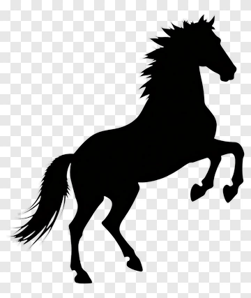 Black Horse Silhouette PNG
