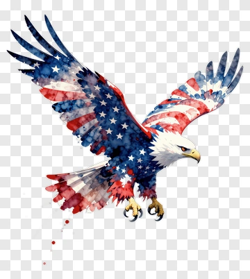 American Flag Eagle In Flight PNG