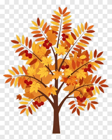 Autumn Tree With Leaves And Berries PNG