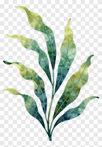 Watercolor Fern Leaf PNG
