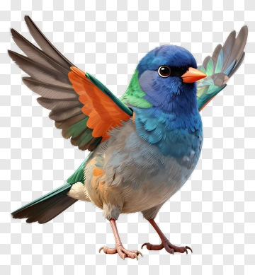 Colorful Bird With Spread Wings PNG