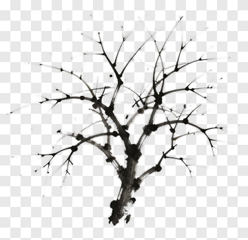 Ink Painting Of Bare Tree Branches PNG
