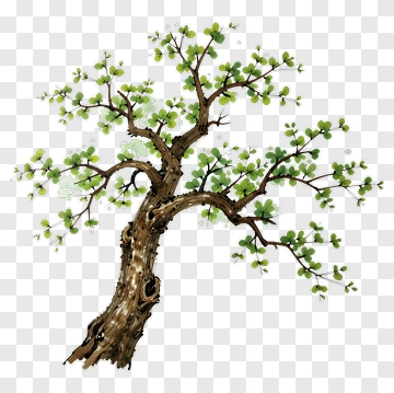 Watercolor Tree With Green Leaves PNG