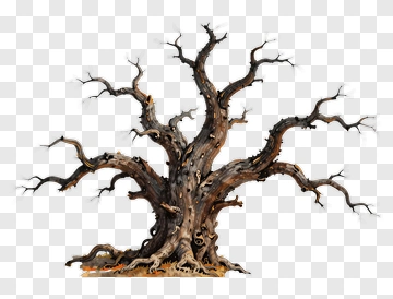 Ancient Dead Tree With Twisted Branches PNG