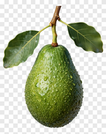 Fresh Avocado With Leaf PNG