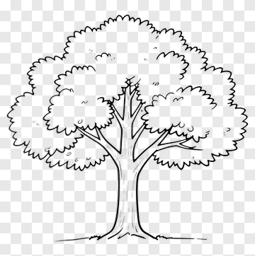 Hand Drawn Tree PNG
