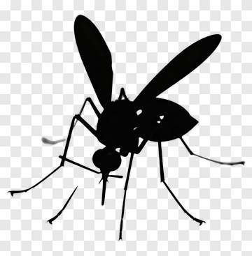 Mosquito Silhouette PNG
