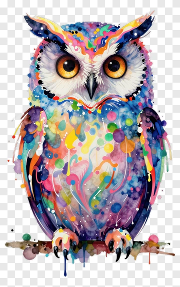 Colorful Watercolor Owl PNG