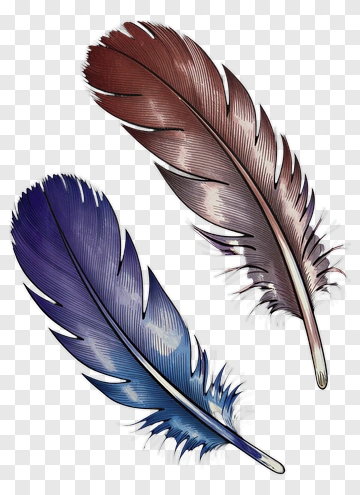Two Feathers One Blue One Brown PNG
