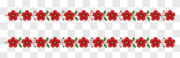 Red Flower Border Design PNG