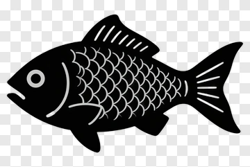 Black Fish Silhouette PNG