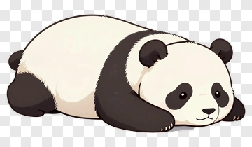 Cute Panda Lying Down PNG