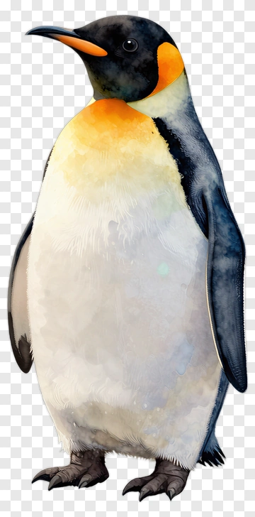 Watercolor Penguin PNG