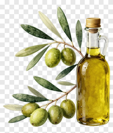 Olive Branch With Olive Oil Bottle PNG