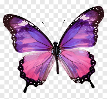 Purple And Pink Butterfly PNG