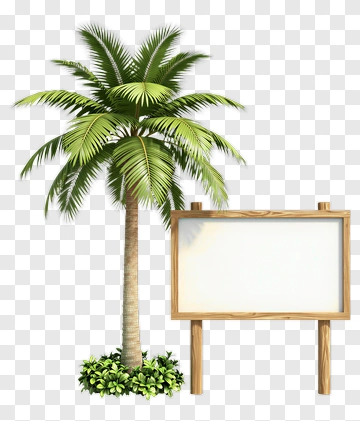 Palm Tree With Wooden Sign PNG