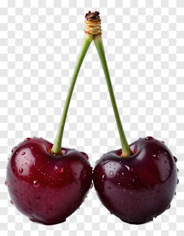 Two Cherries With Water Droplets PNG