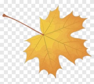 Autumn Maple Leaf PNG