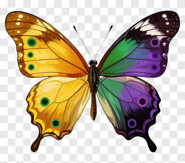 Colorful Butterfly With Gradient Wings PNG