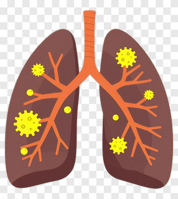 Lungs With Virus PNG