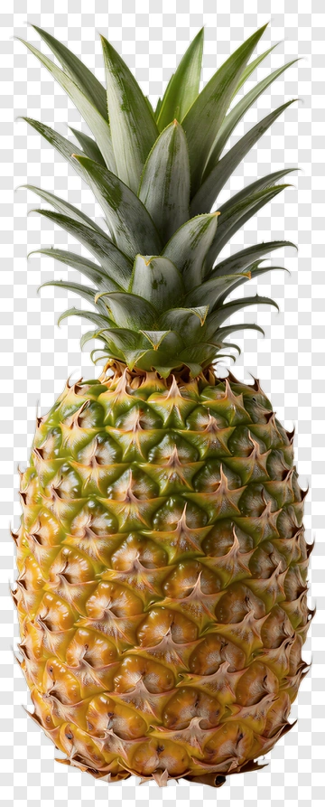 Fresh Pineapple PNG