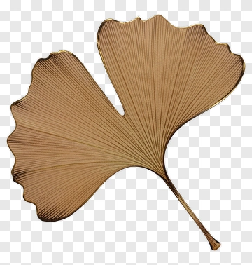 Ginkgo Leaf With Gold Edges PNG