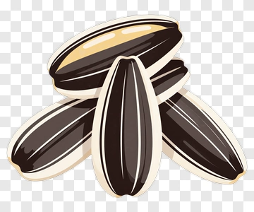 Sunflower Seed PNG